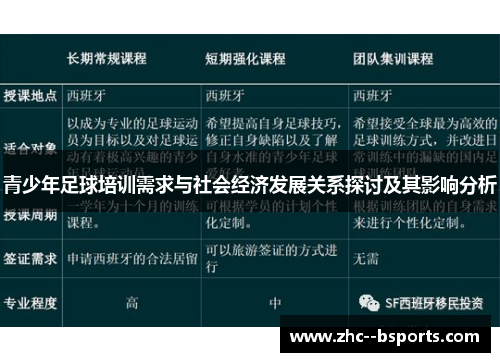青少年足球培训需求与社会经济发展关系探讨及其影响分析